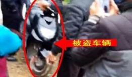 学员爆料被打视频真实,惨遭暴力对待，校园暴力事件引发社会关注