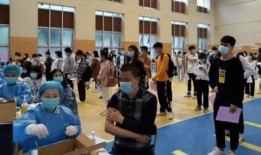 刘艳红网络爆料最新消息,揭秘网络事件背后惊人真相